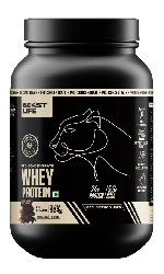 Whey Protein Protein with Ultrasorb Tech