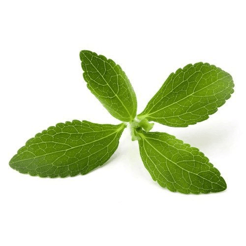 Stevia